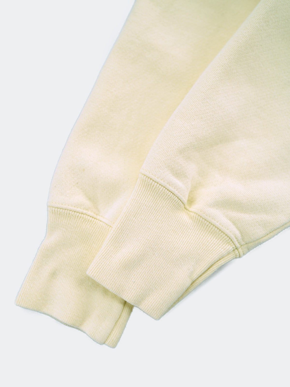 Champion REVERSE WEAVE hoodie