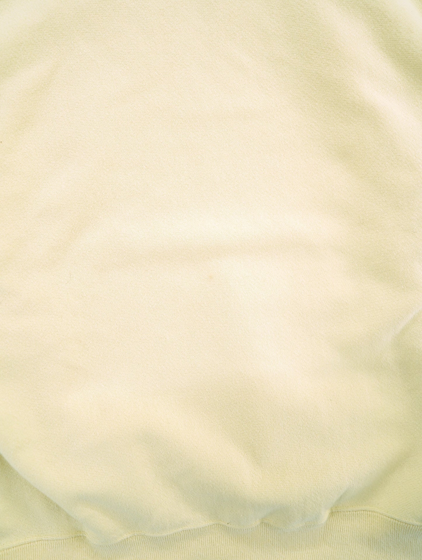 Champion REVERSE WEAVE hoodie