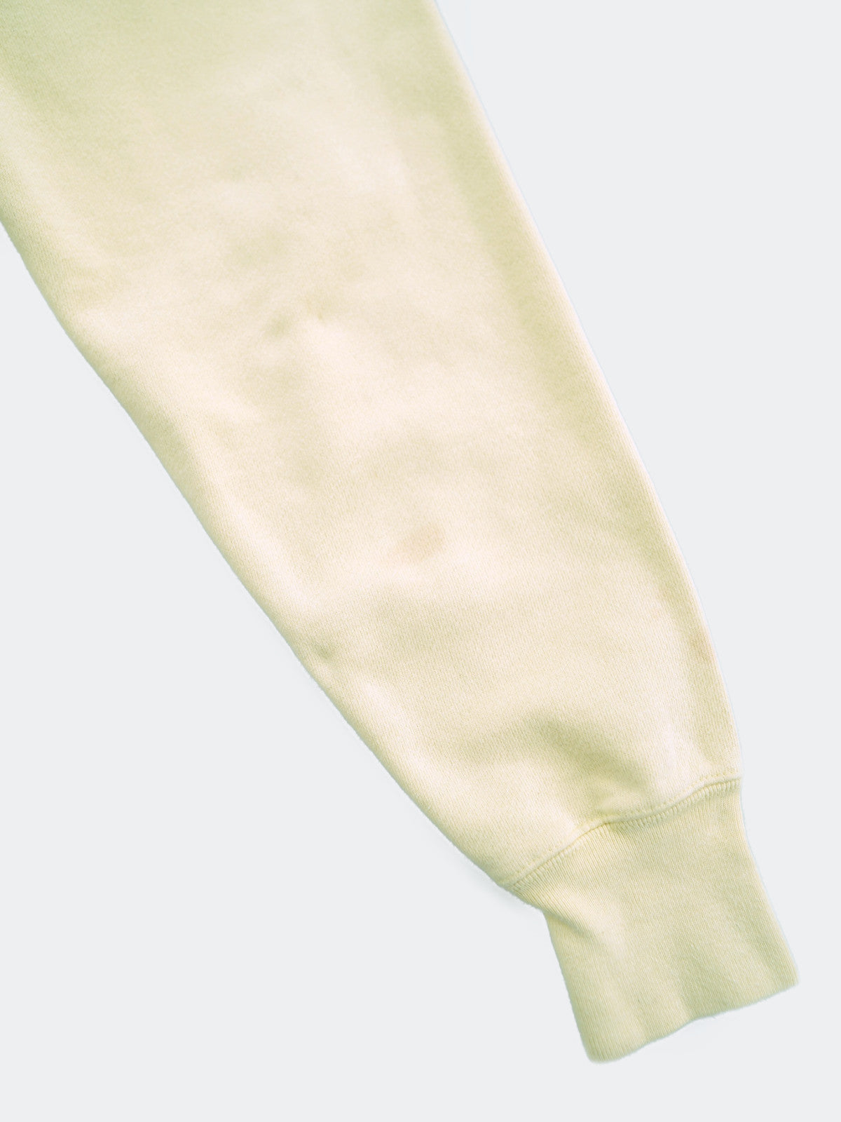 Champion REVERSE WEAVE hoodie