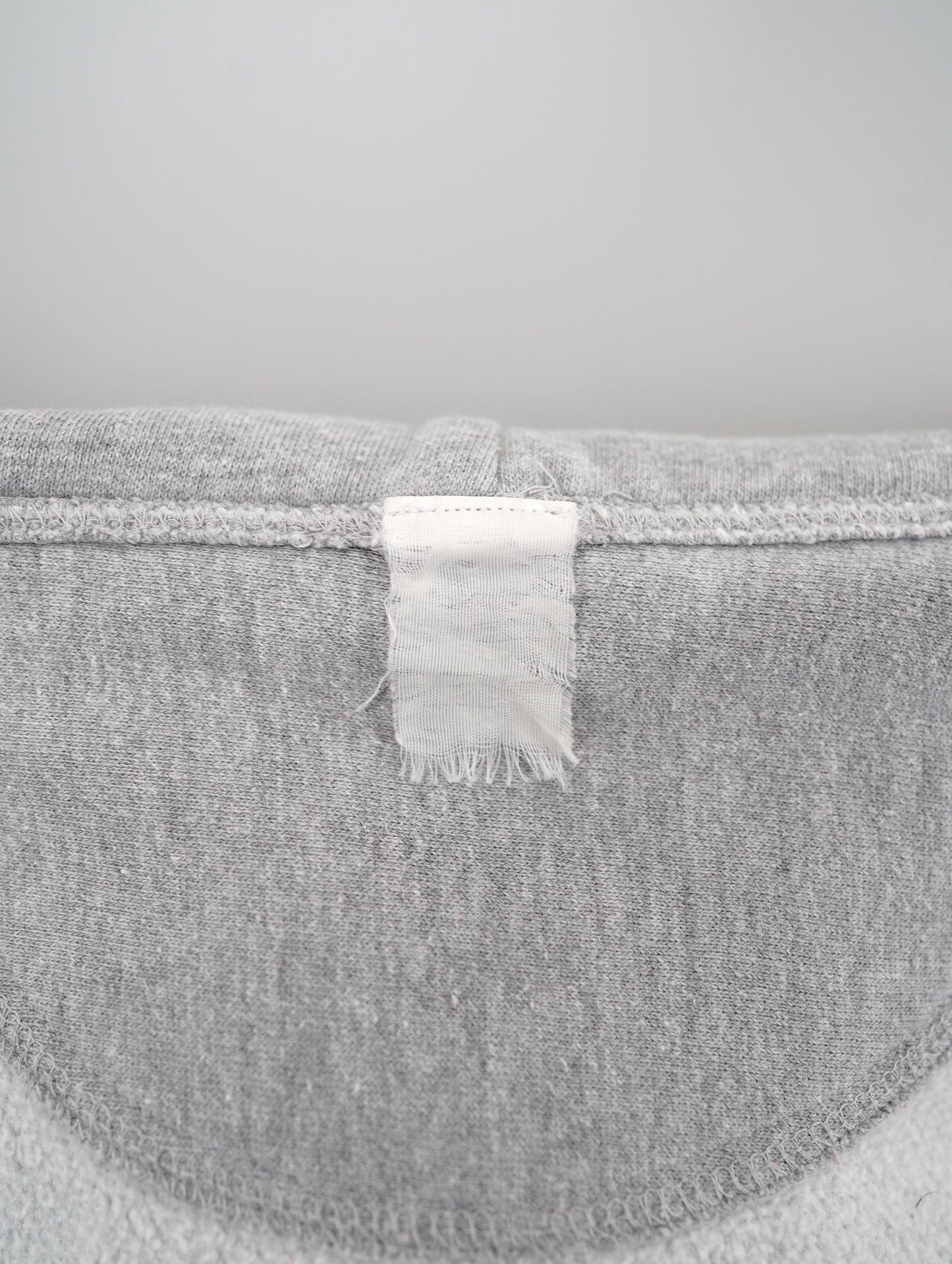 Champion REVERSE WEAVE hoodie