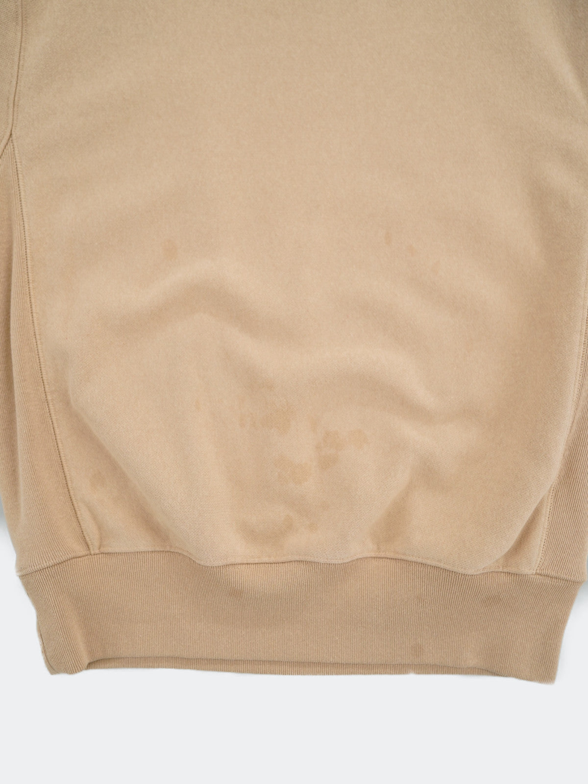 Champion REVERSE WEAVE sweat