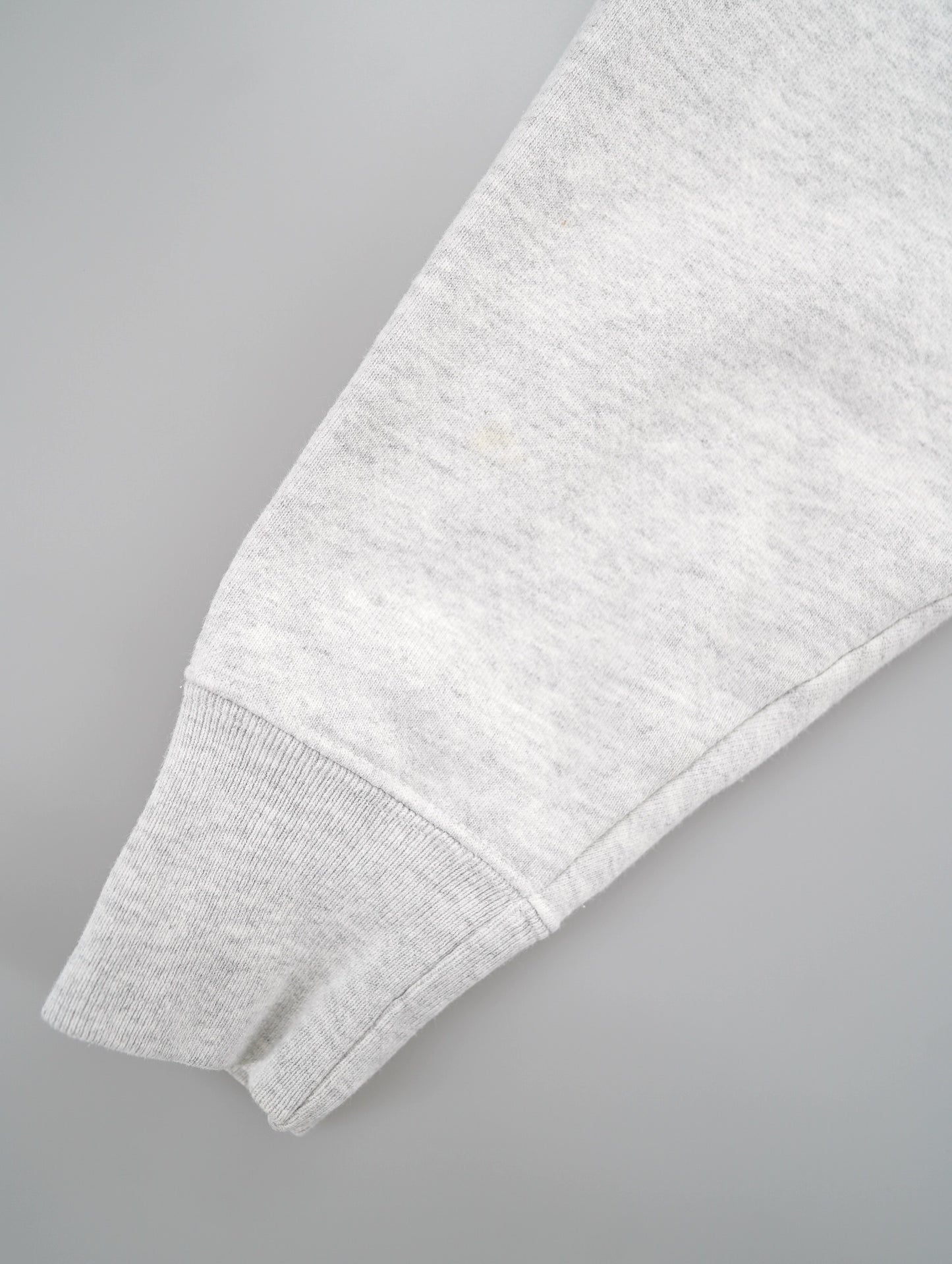 Champion REVERSE WEAVE hoodie