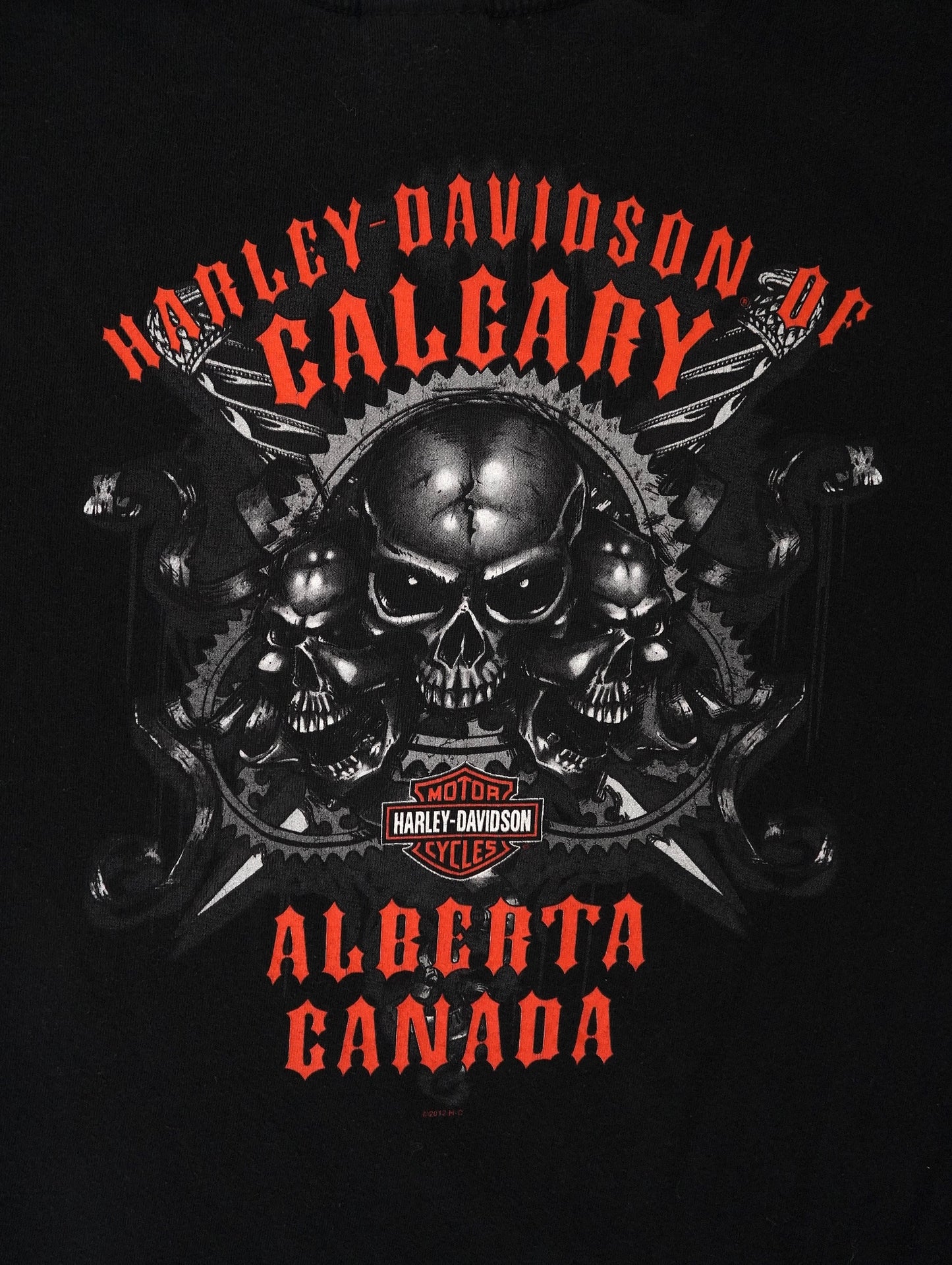 HARLEY DAVIDSON tee