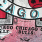 CHICAGO BULLS tee