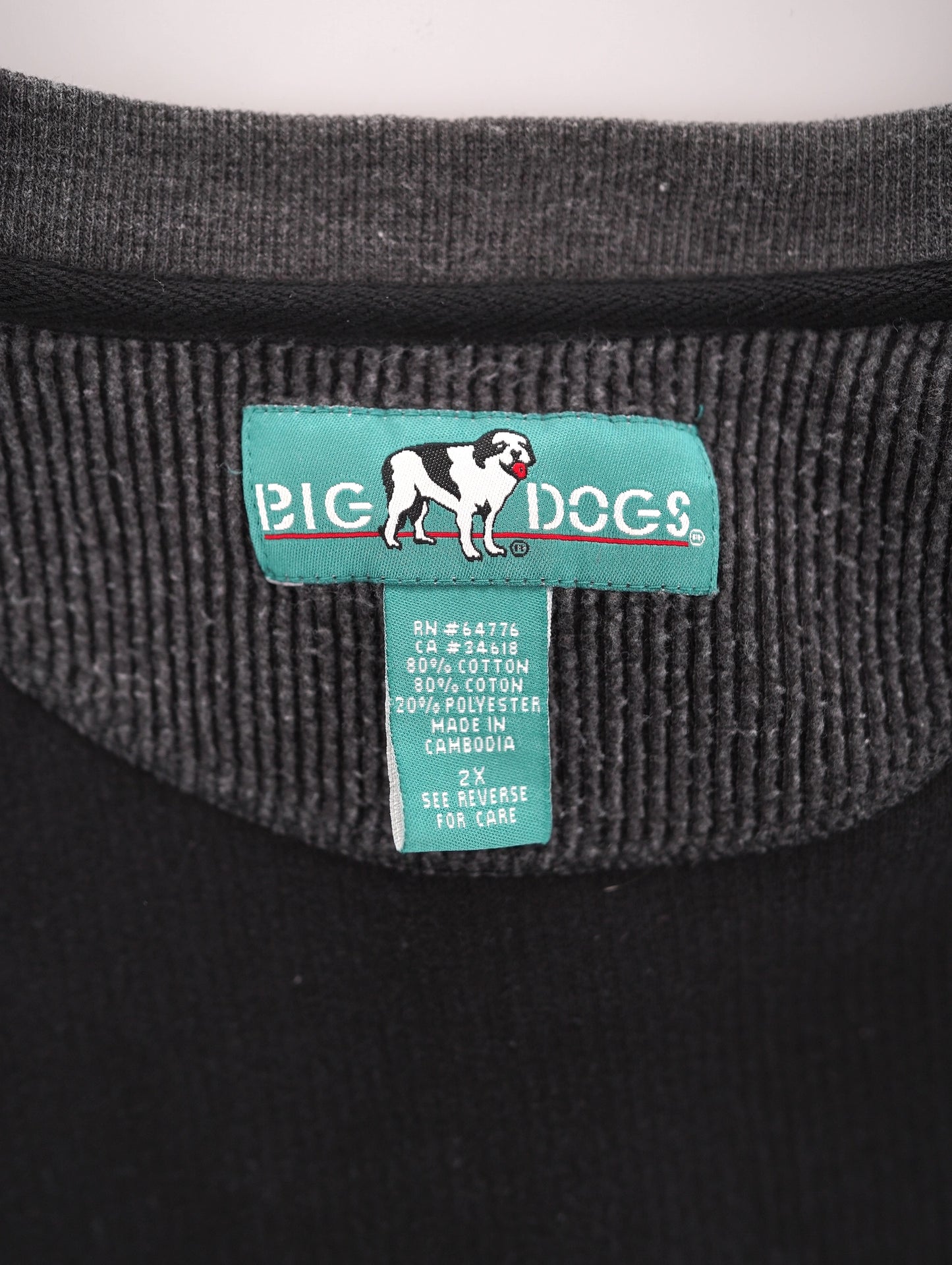 BIG DODS henley neck long tee